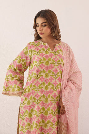 Pastel Green Chanderi Hand block Printed Suit Set With Dupatta - Tara - C - Tara